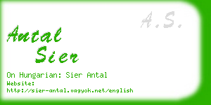 antal sier business card